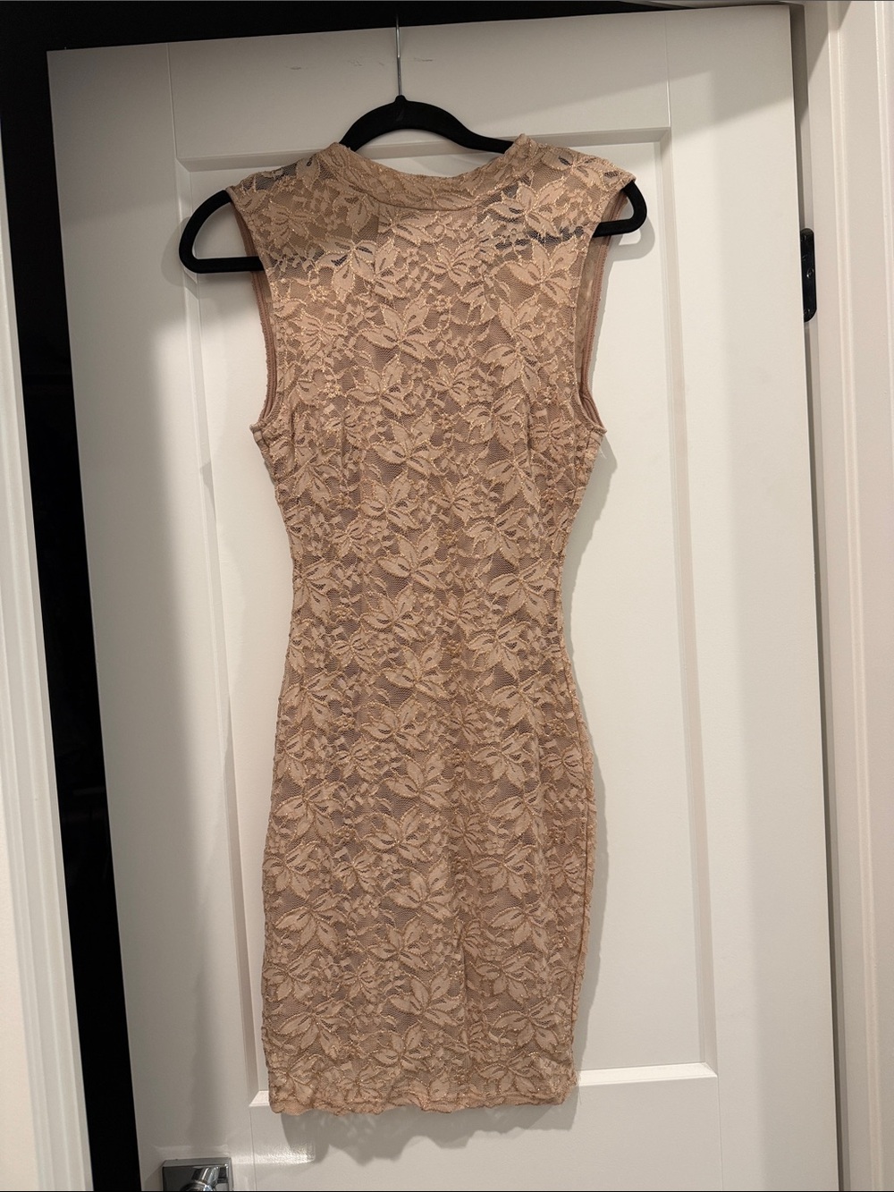 Windsor Lace Sheath Mini Dress in Nude Blush